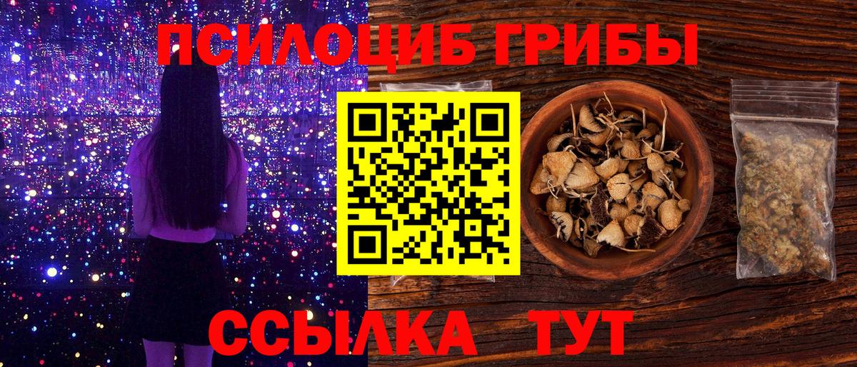 Галлюциногенные грибы Psilocybine cubensis Светлоград